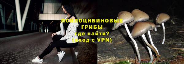 спиды Бронницы