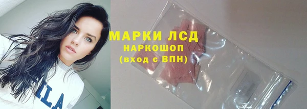прущие грибы Тында